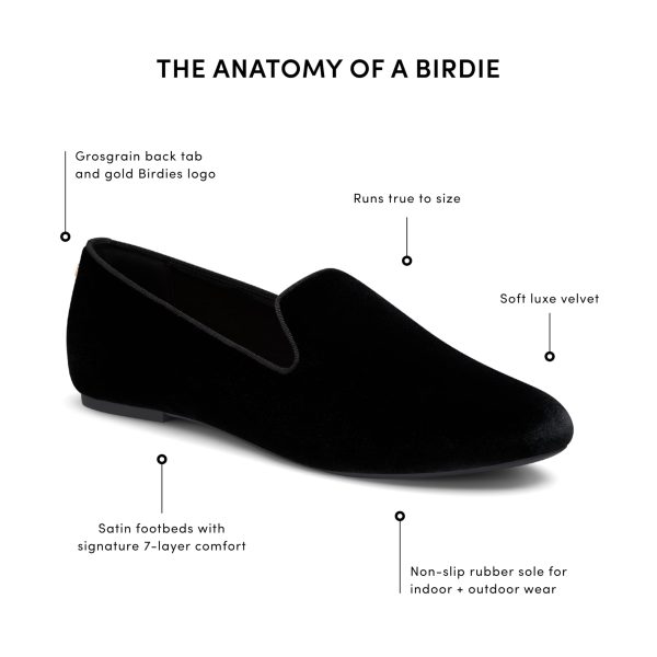 Women's Starling, Slip-On Flats, Comfortable Casual Dressy Shoes